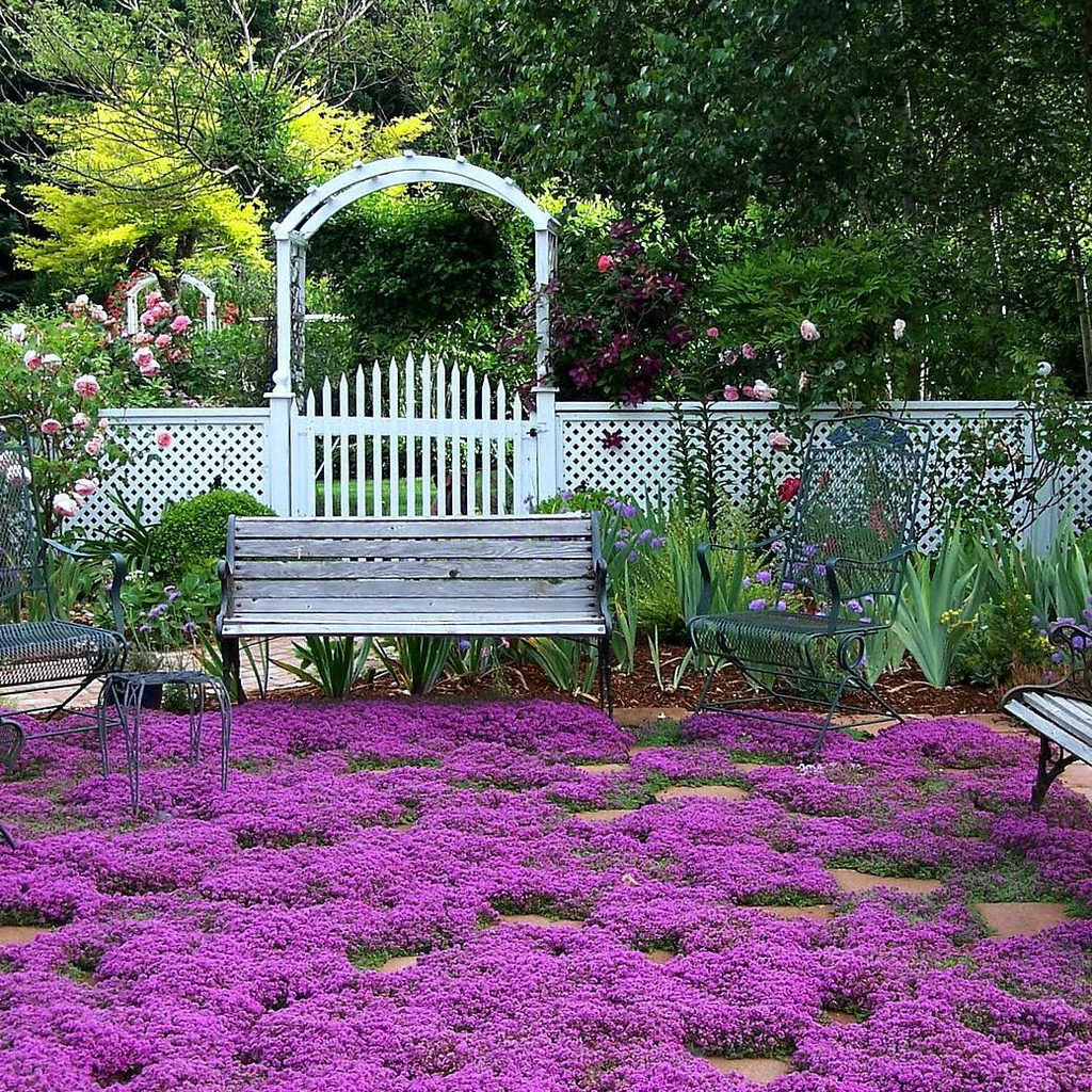 Purple flowers surrounding bench and white archway and fence