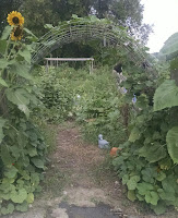 Archway surrounded in greenery