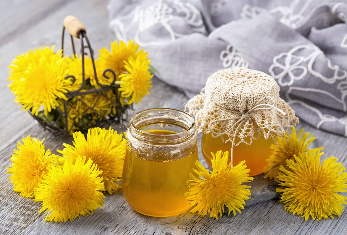 Dandelions and glass jars