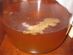 Red jello-like-mold