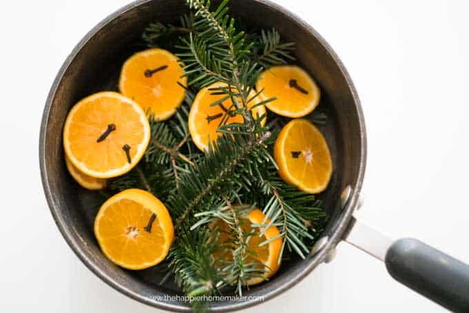 Oranges and Rosemary in a pot