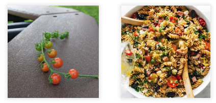 Spoon tomatoes and summer pasta salad