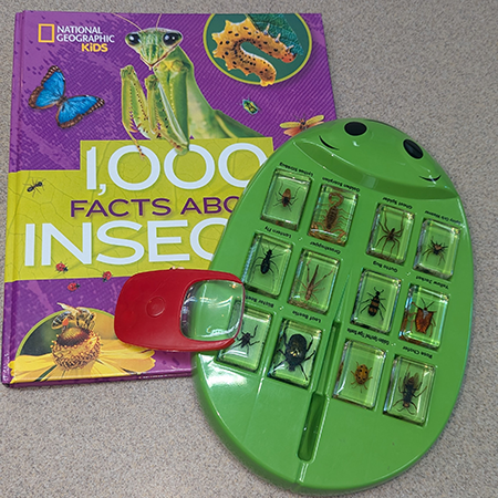 Insect Kit