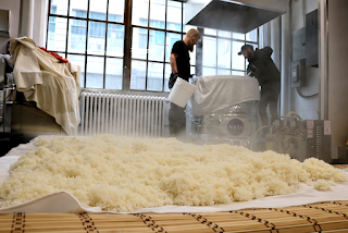 Inside a brewery while workers use rice as a beer adjunct