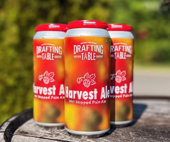 A four-pack of Harvest Ale cans from Drafting Table Brewing Company. 