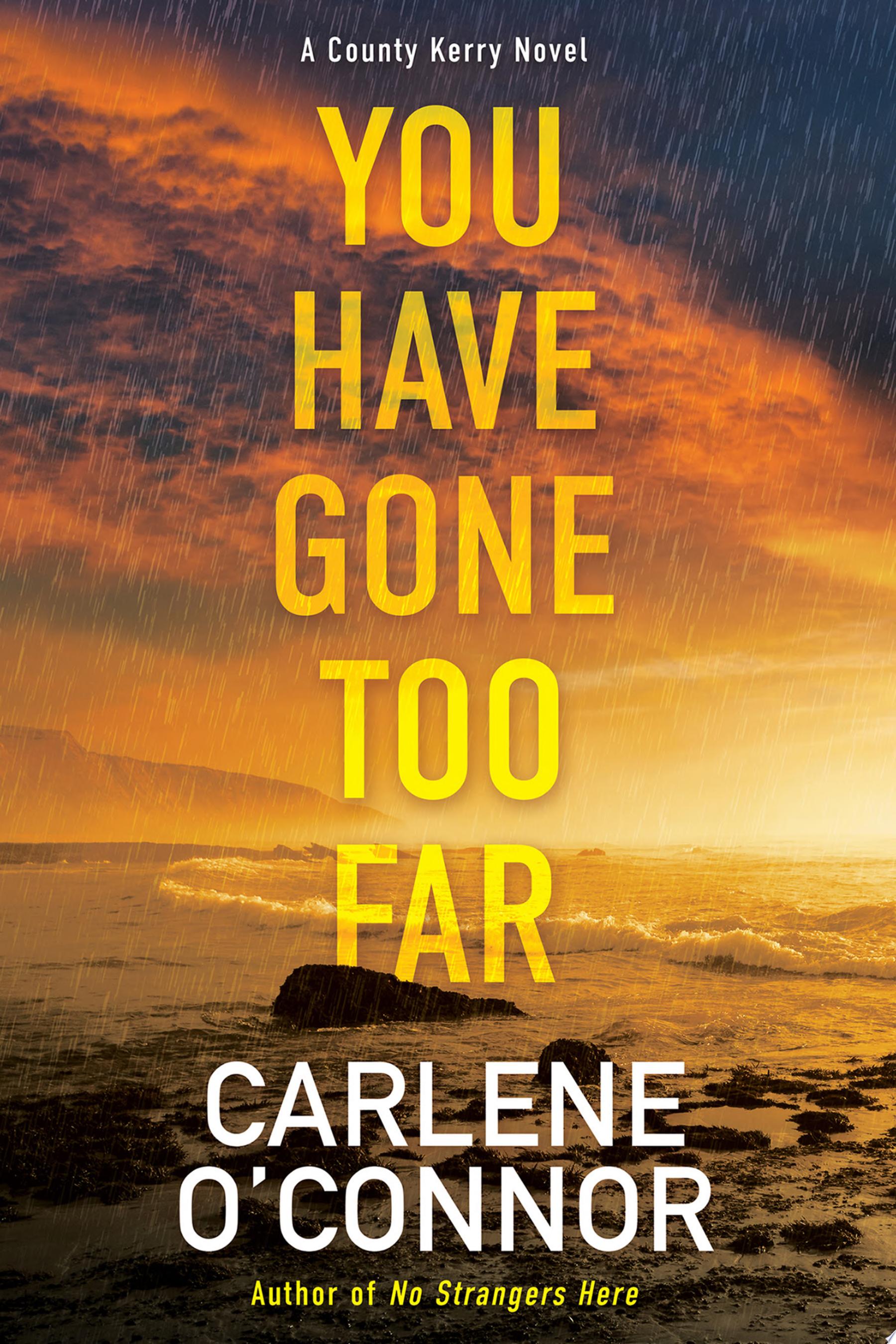 Book cover for "You Have Gone Too Far"