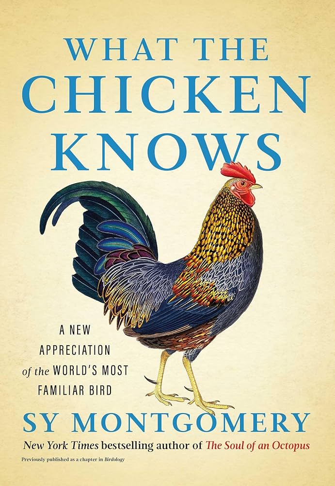 Book cover for "What the Chicken Knows"