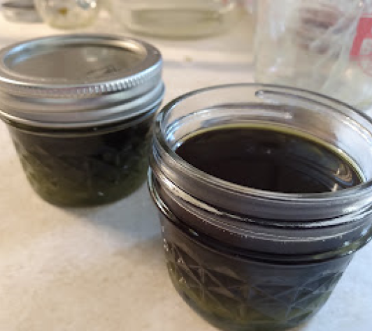 Thinking Sustainably: Medicinal Plant Salves