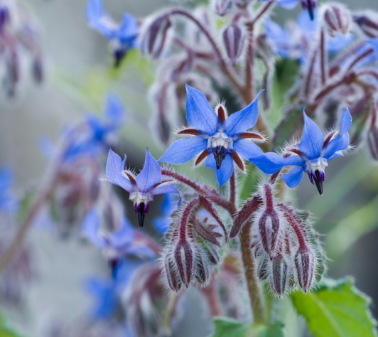 Thinking Sustainably: Save the Soil!