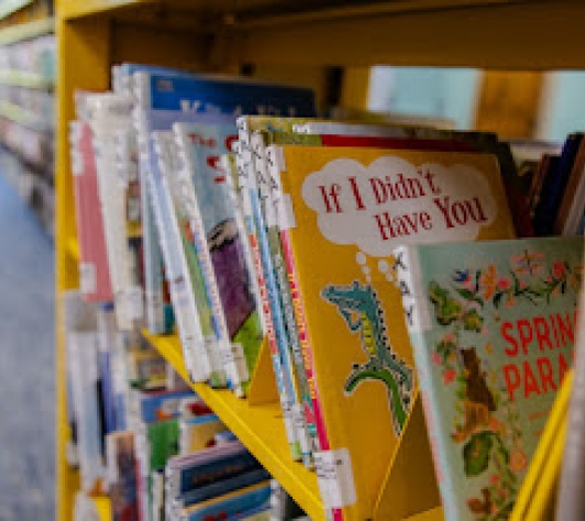 Book shelf filled with various children's books