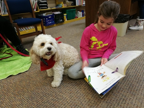 A child sitting on the floor in the Library reading a book to a dog. 